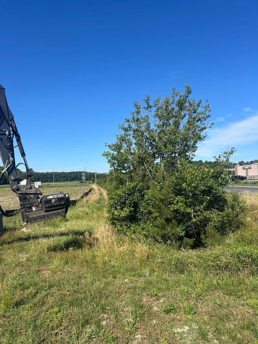 Excavator mulching head next to a highway drainage ditch choked with trees and brush